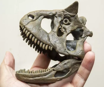 Ископаемая модел на черепа Карнотавра Abelisauridae на Месоядни динозаври Ceratosauria Фигурка Коллекционного Животински Развивающий Декор GK Играчка Изображение