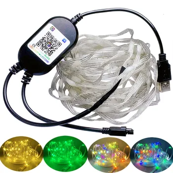WS2812B led венец USB 5V Smart Bluetooth Dream Color Декоративни светлини, адресируеми индивидуално, Коледна гирлянда Изображение